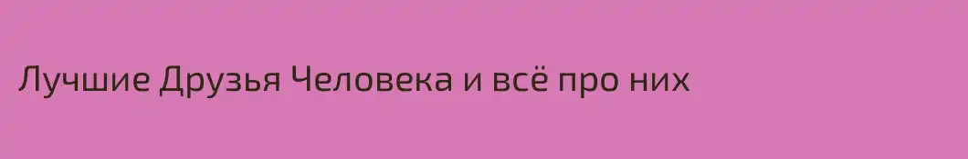Лучшие Друзья Человека и всё про них